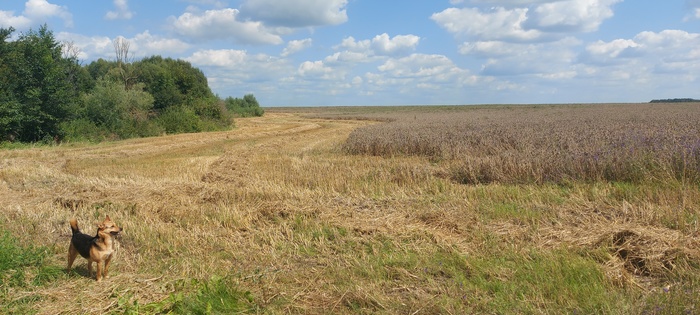 ������: ����, ���� � �������