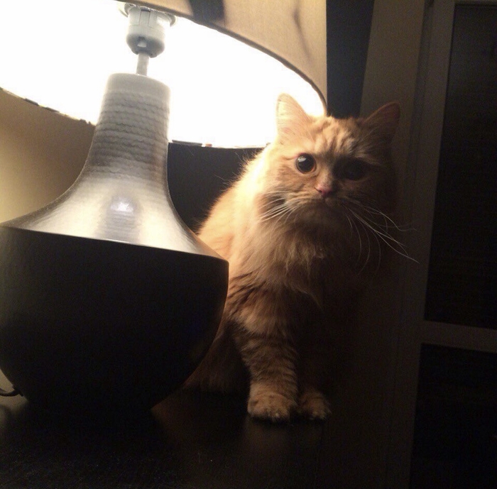 ��� ������� ����������