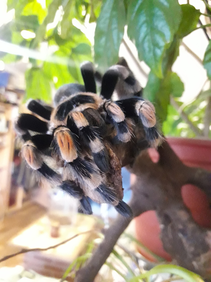 Немного прошлогоднего