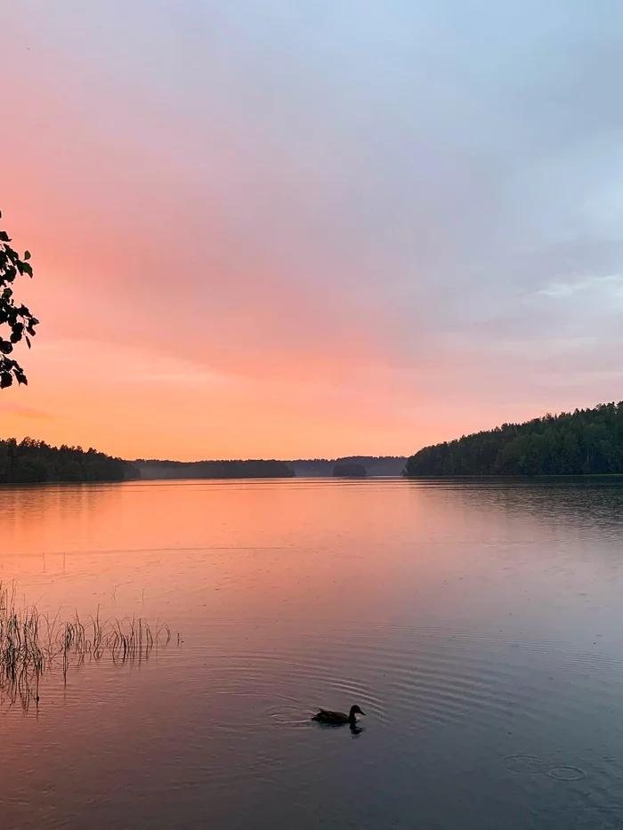 Half of August has already come, you won’t have time to understand how the second will end - The photo, Russia, Nature, beauty