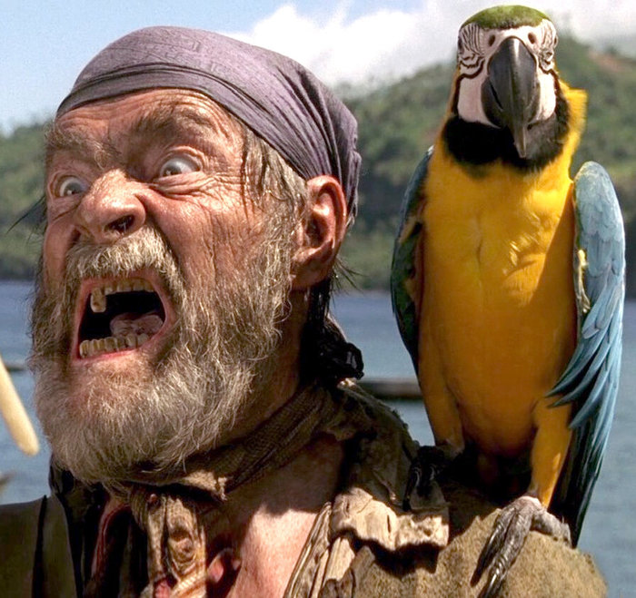 Зачем пираты таскали с собой попугаев Пираты, Пиратство, Дзен, Длиннопост