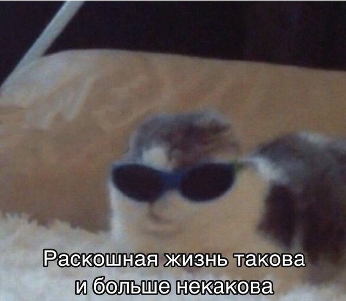 ����� ������ �/�