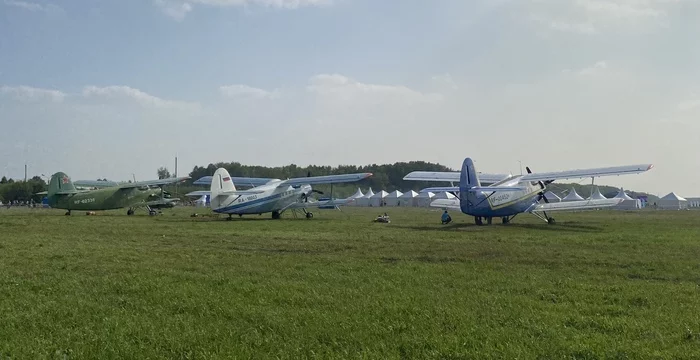 Always in line - My, Airplane, An-2, Kemerovo