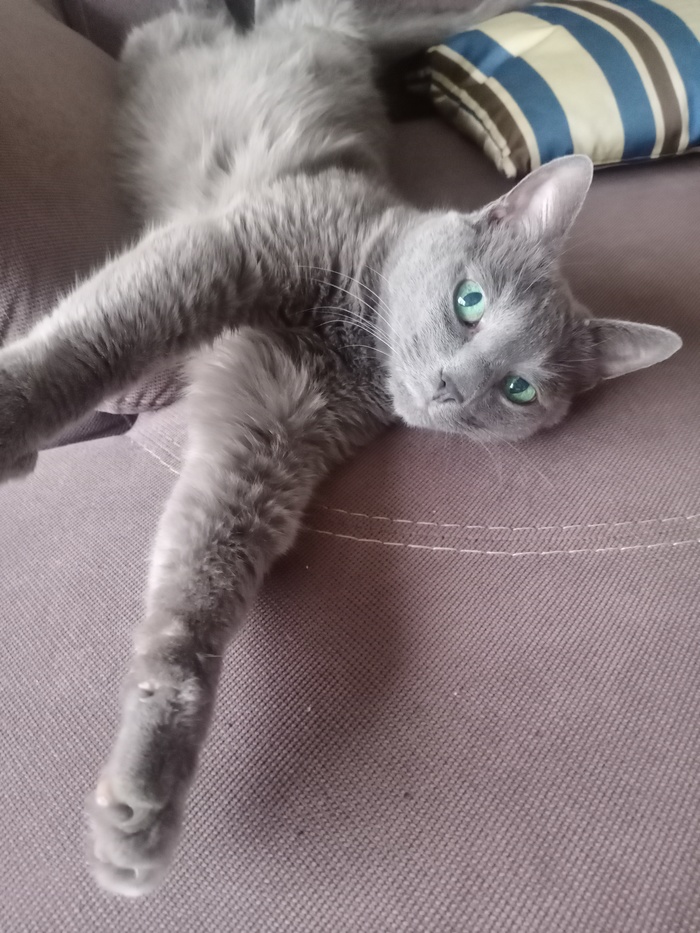 - ?--,  ...  , , , , 