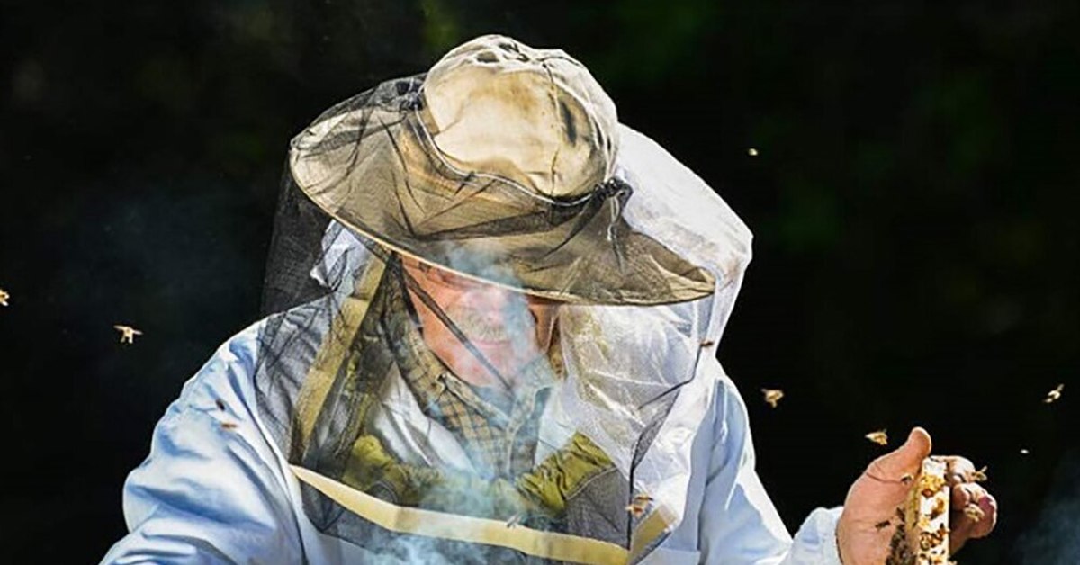 Congratulations to everyone on the Honey Savior! - My, Honey, Beekeeping, Honey Savior