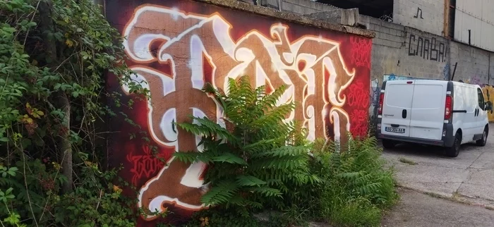 France, Lyon district 13 - Graffiti, Lyon, France