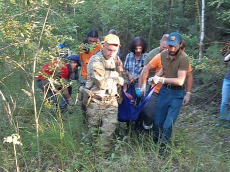 She went to look for hedgehogs (found, alive!) - My, Lisa Alert, People search, Volunteers, Longpost