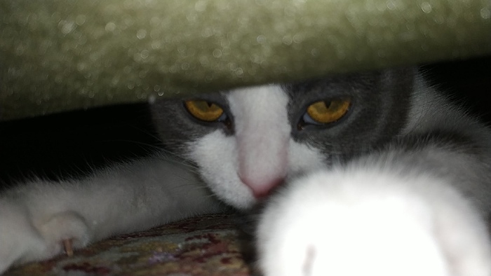 Как же ты меня ***