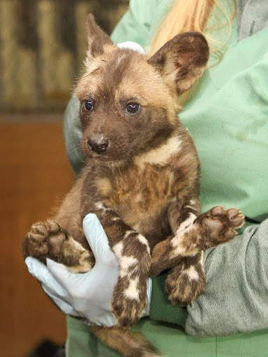 Да, от дружбы с человеком не отвертишься...