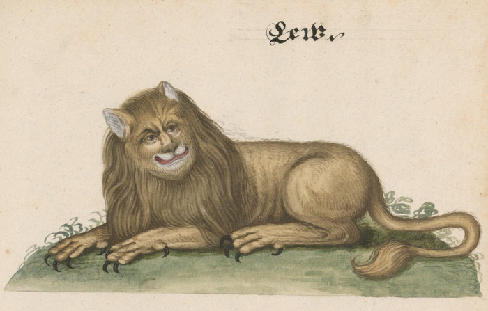 �� ������ ������ ���� �������