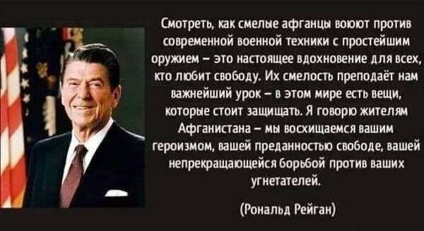 Реакция американцев на афган. Похоже, у них новый кумир! - Моё, Политика, Юмор, Права женщин, Длиннопост, ЛГБТ, Афганистан, Талибан