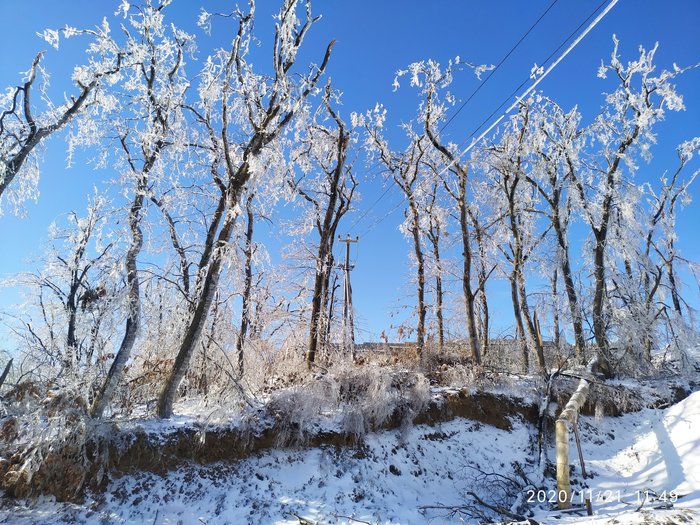 �����������, �.�������. ������ �������� ����