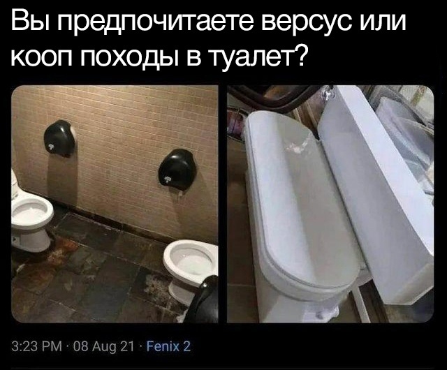 Difficult choice - Memes, Toilet, Toilet, Versus, Together, Picture with text, Toilet humor