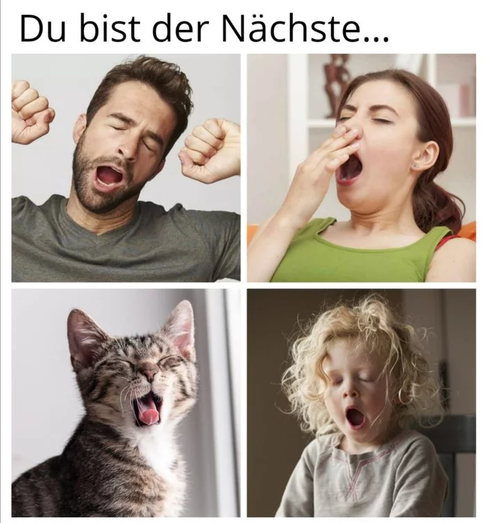 You are next - German, Picture with text, Yawn