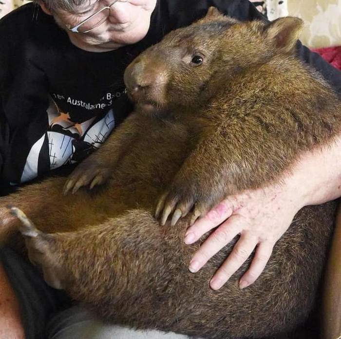 ����� ������� � ������� �� ��������