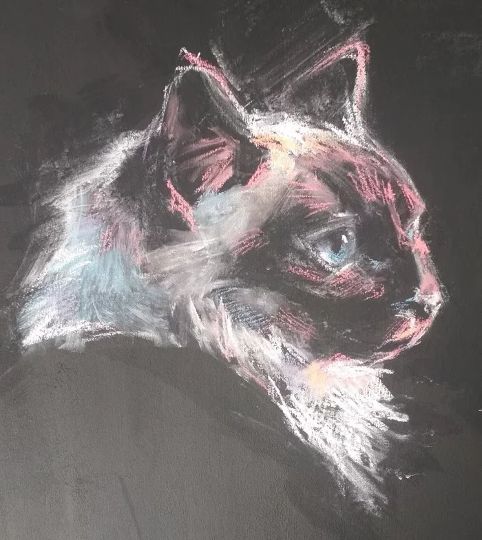 Kotovtournik - My, cat, Drawing on the wall, Chalk drawing