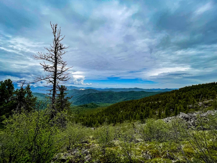 Lake Banzai, Shushensky Bor - My, Borus, Shushensky Bor, Krasnoyarsk region, The mountains, Hike, Hiking, Dog, banzai, Longpost, , The photo