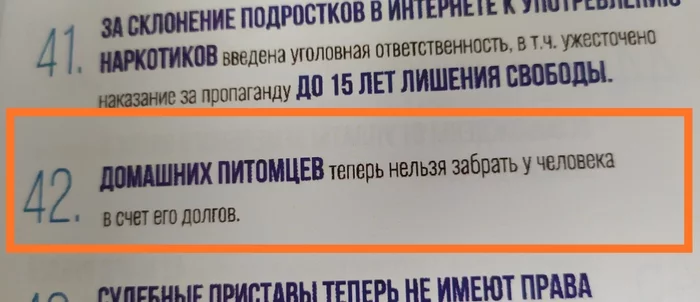 А раньше что можно было?!... - Моё, Выборы, Абсурд, Домашние животные, Агитация, Политика