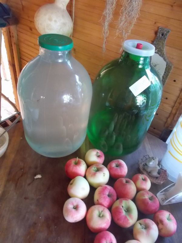 Homemade Calvados - My, Moonshine, Calvados, Apples, Longpost