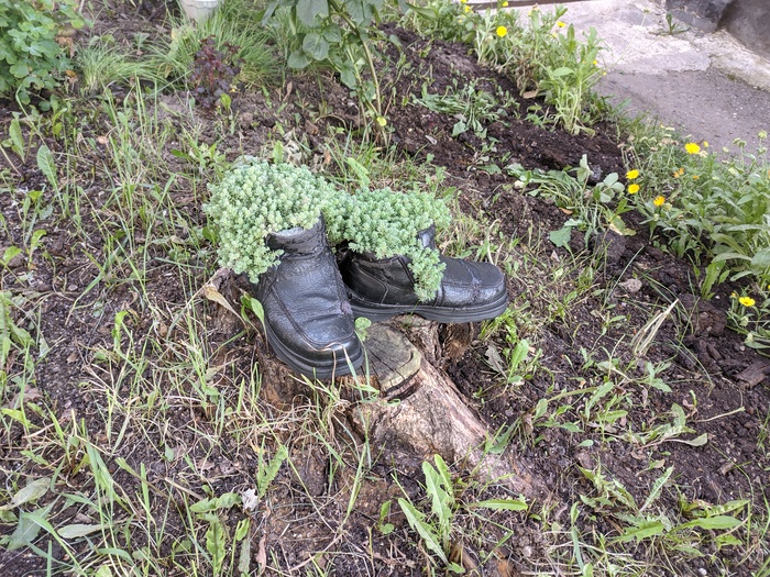 Очень мило, очень по русски