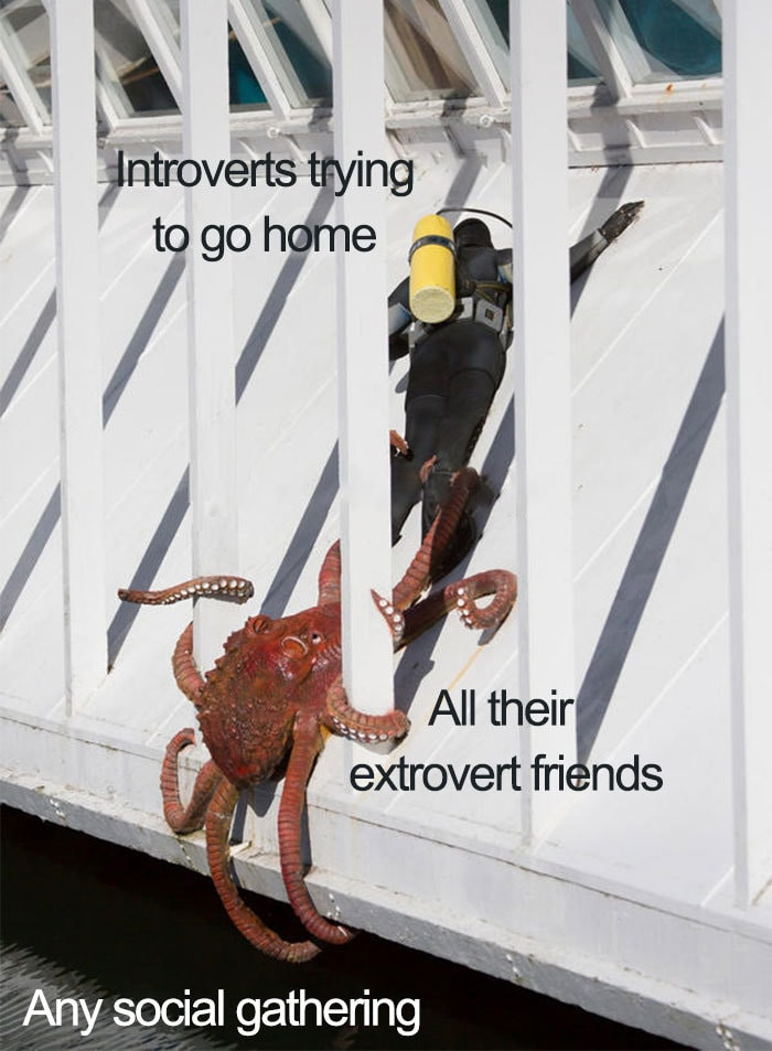 - ! -  ! , 