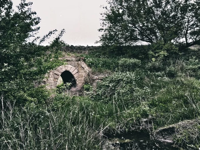 Forgotten old bridge - Bridge, River, Gorlovka, My