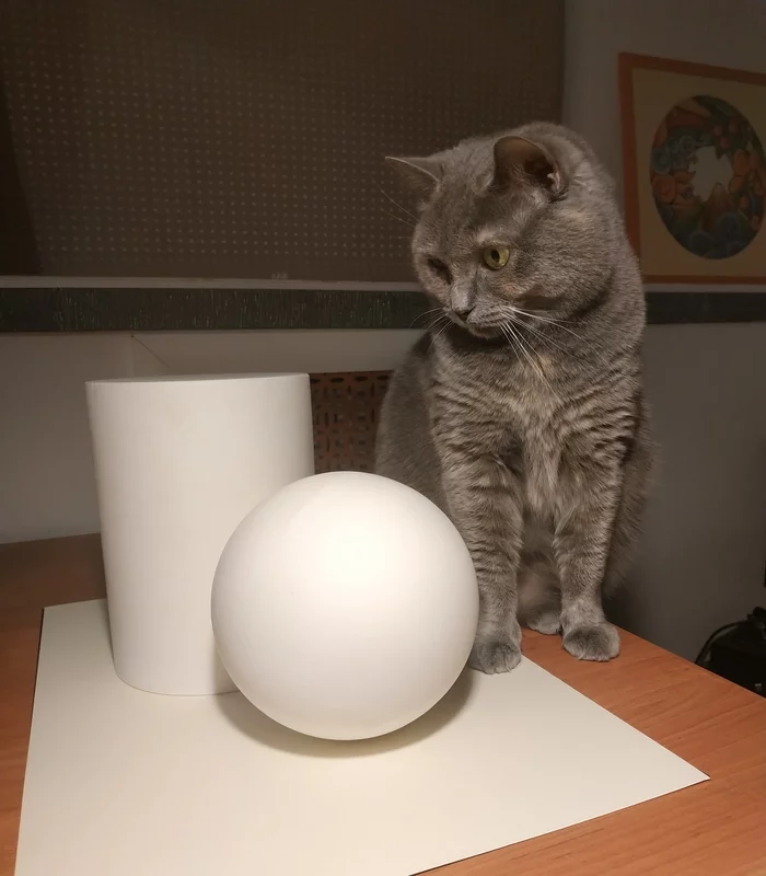 cat composition - My, cat, Cylinder, Ball, Composition