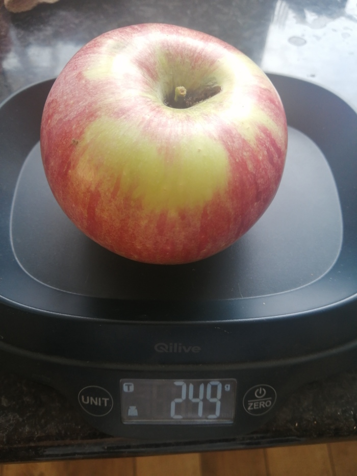 ����� �� ���� ������� ������