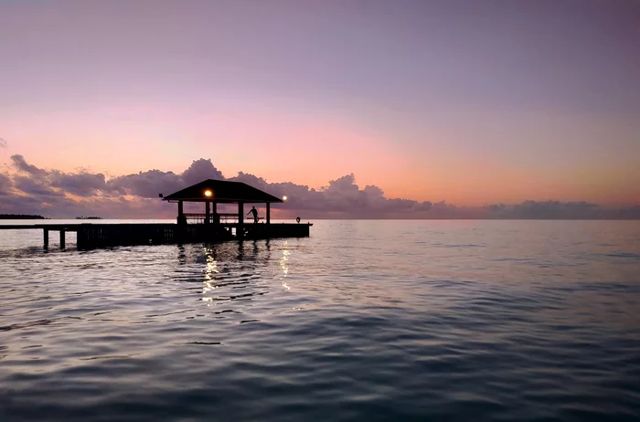 Moments of Life - Maldives - My, Maldives, Travels, Turtle, Godzilla, Redmi, Mobile photography, The photo, Xiaomi Redmi Note 7, Longpost