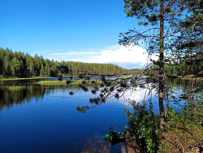 Nature of Karelia - My, The photo, Nature, Карелия, Longpost