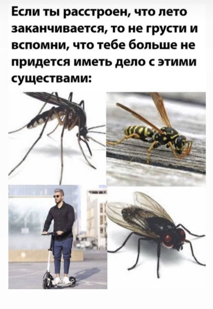что делать если проколол колесо на электросамокате. Смотреть фото что делать если проколол колесо на электросамокате. Смотреть картинку что делать если проколол колесо на электросамокате. Картинка про что делать если проколол колесо на электросамокате. Фото что делать если проколол колесо на электросамокате