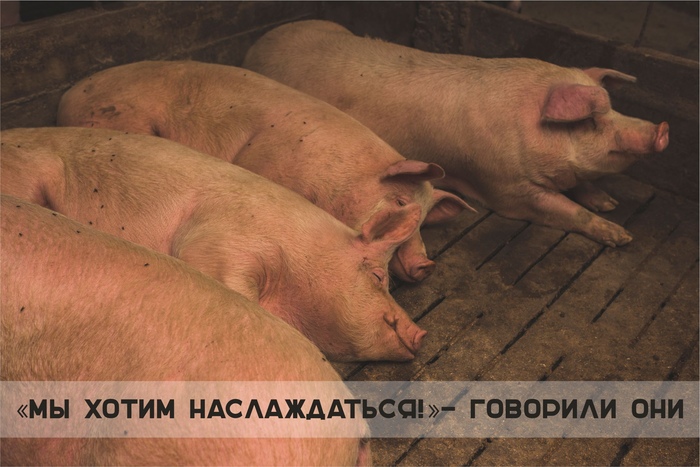 Что ж, наслаждайтесь