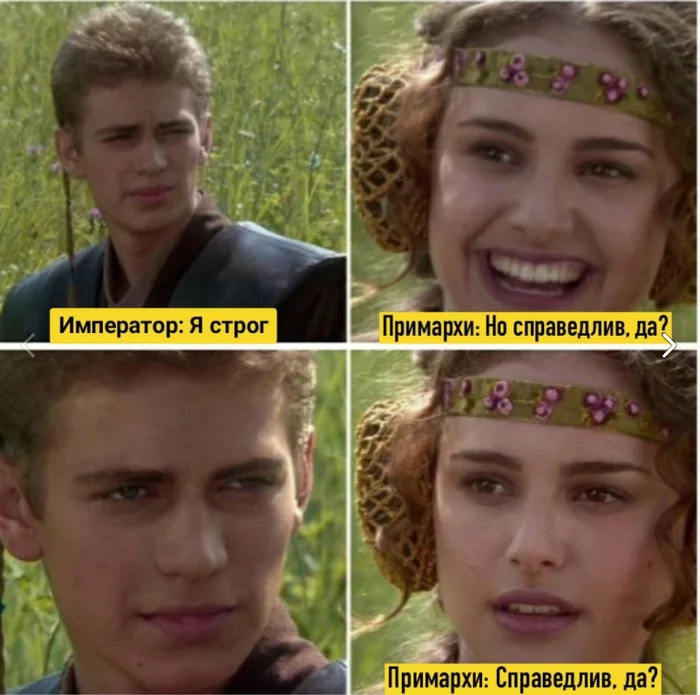 Certainly - My, Warhammer 40k, Star Wars, Humor, Memes, Repeat, Movies, Anakin and Padme at a picnic