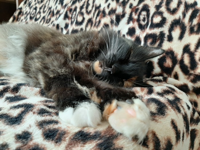 ��� �������� ����� �����?