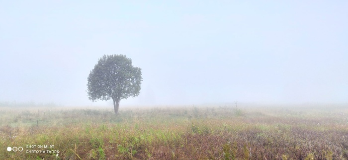Раннее утро