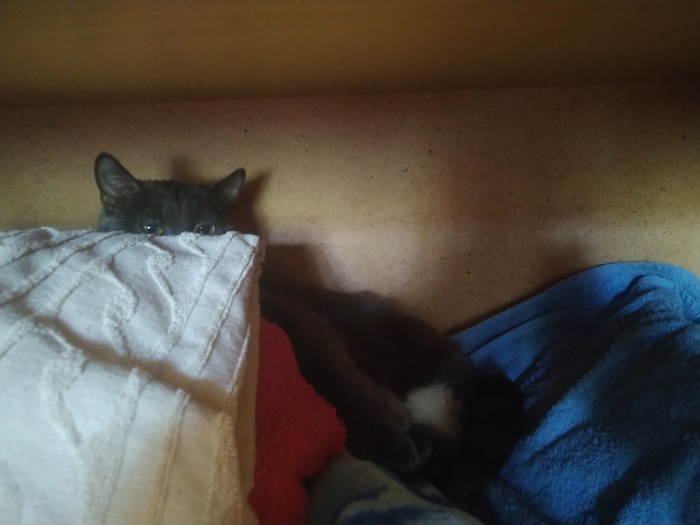     ,    ,  