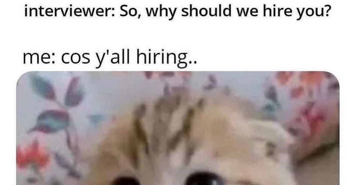 I need money - Introvert, Interview, Interview, Work, cat