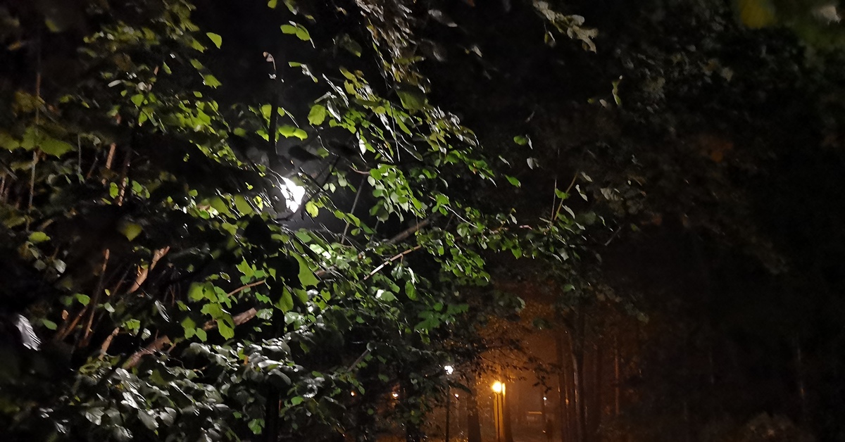 Evening in the park after the rain - My, The photo, Mobile photography, The park, After the rain, Art, Atmospheric, Evening, Longpost, Night, , Lamp