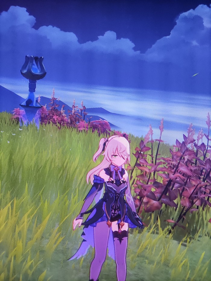 Мальчик Тимми