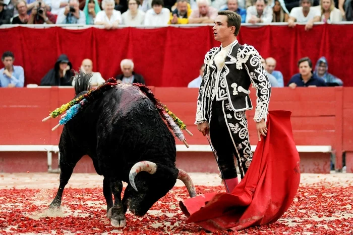Spanish city mayor cancels bullfighting after criticizing politically incorrect bull names - Feminist and Nigerian - Spain, Bullfight, Feminism, Tolerance, Political Correctness, Longpost, Repeat, Racism, Feminists, , Sjw