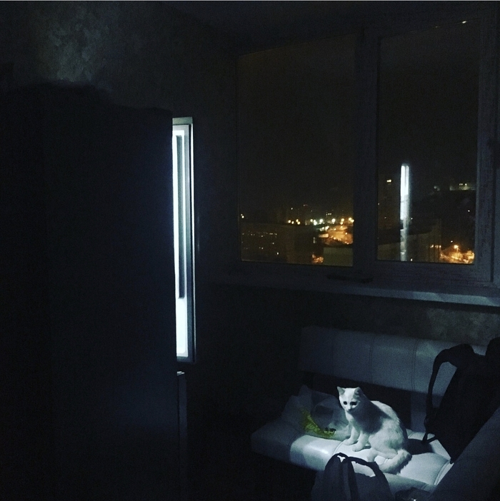 ��� ���������