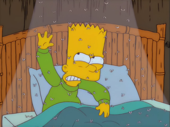 20 августа -Всемирный день комара