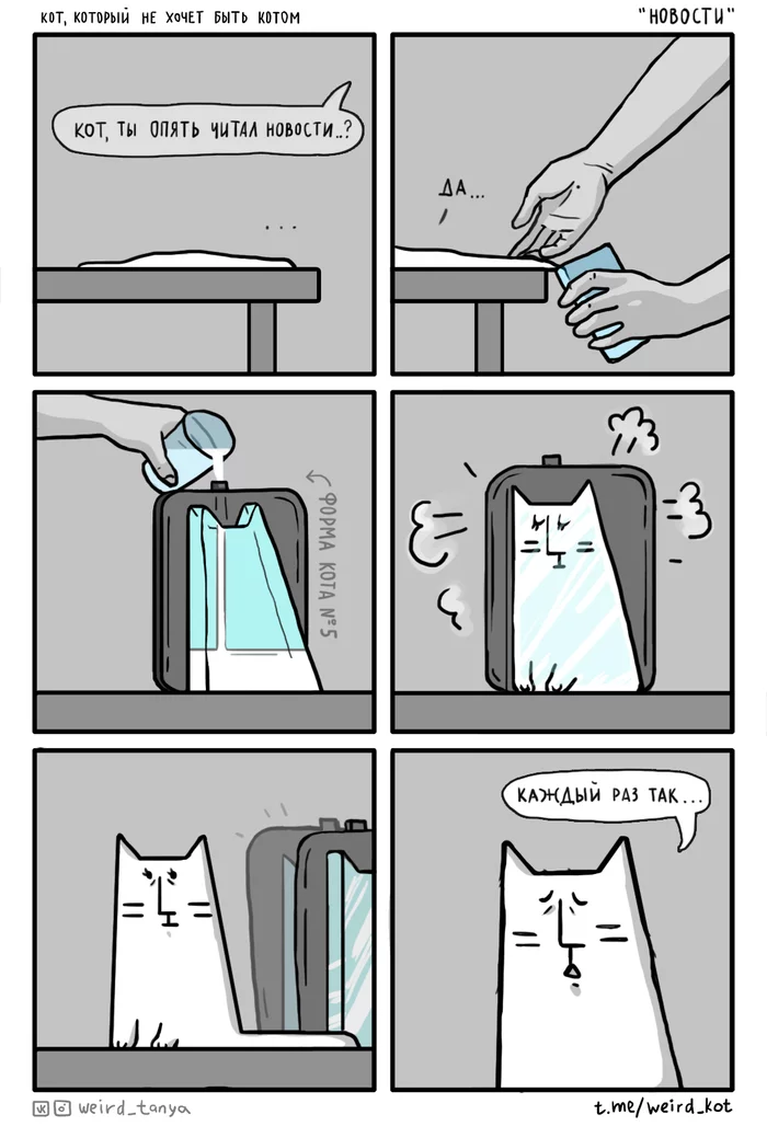 The Cat Who Doesn't Want to Be a Cat #40 News - My, Weird_Tanya comics, Comics, Author's comic, cat, Humor, Web comic, Internet, news