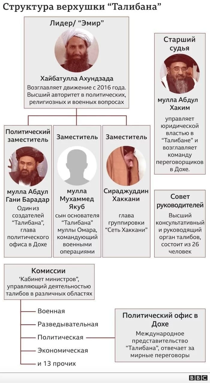 The structure of the Taliban and its leaders - Afghanistan, Taliban, Management, Politics