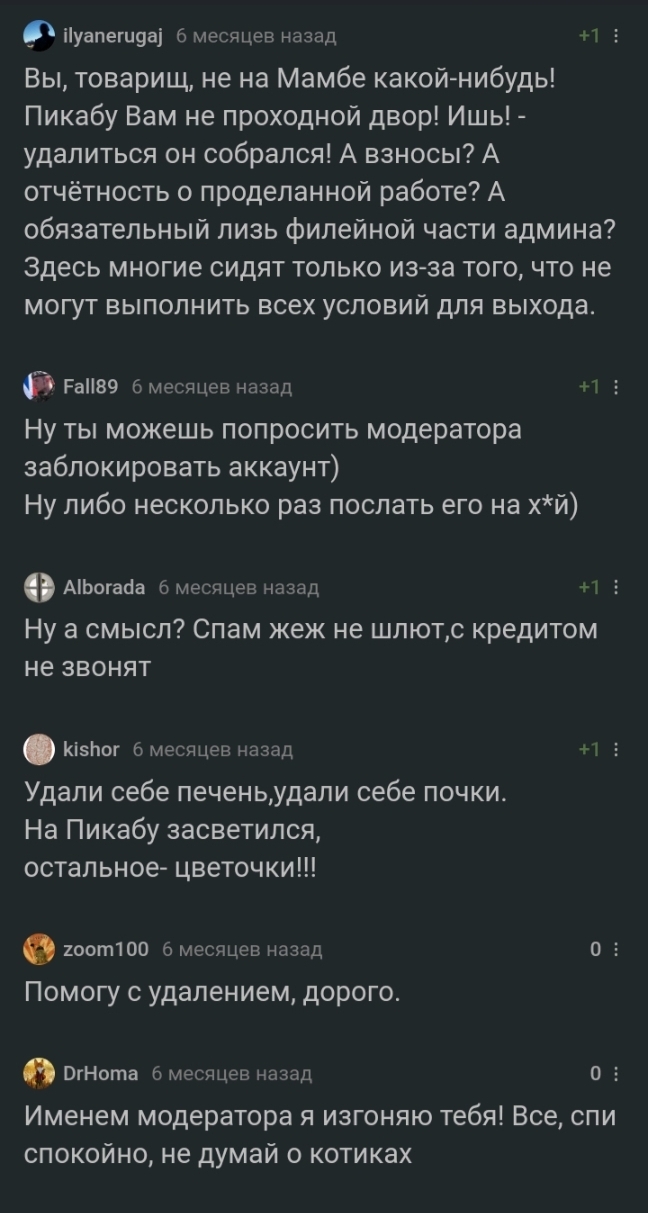 And how to delete an account on Pikabu? - Comments on Peekaboo, Comments