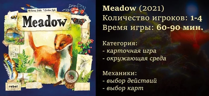 Meadow - My, Board games, Hobby, Nature, Plants, Animals, Ecology, Milota, Watercolor, Longpost