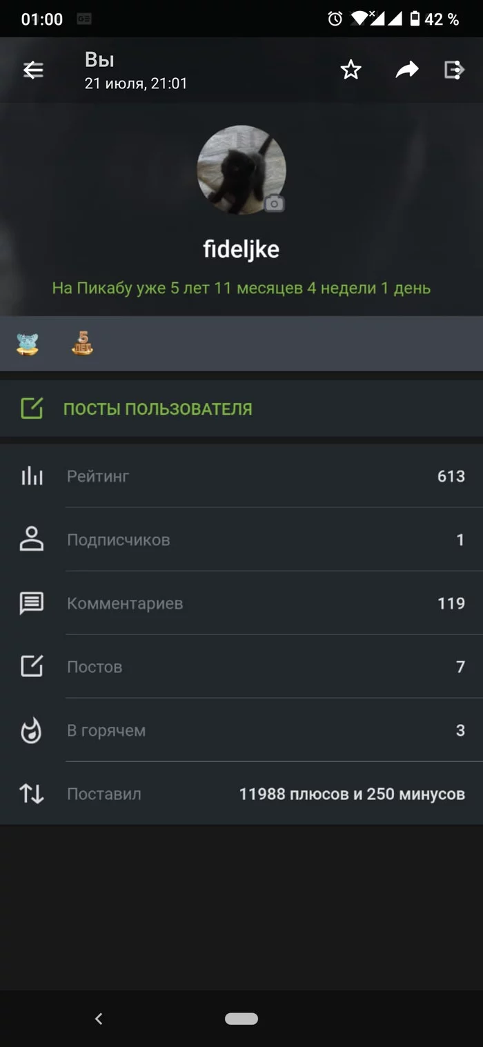 Думал что случайность. Или это у всех так? - Странности, Пикабу, Ошибка, Длиннопост