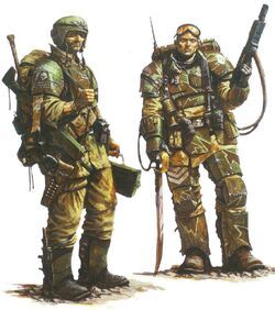 Cadian shock regiments - My, Warhammer 40k, Imperial guard, Longpost