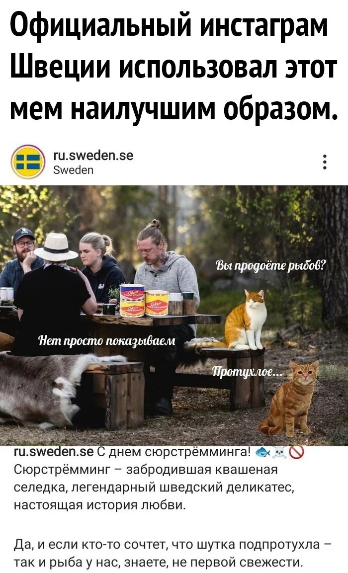    , ,   ?, 