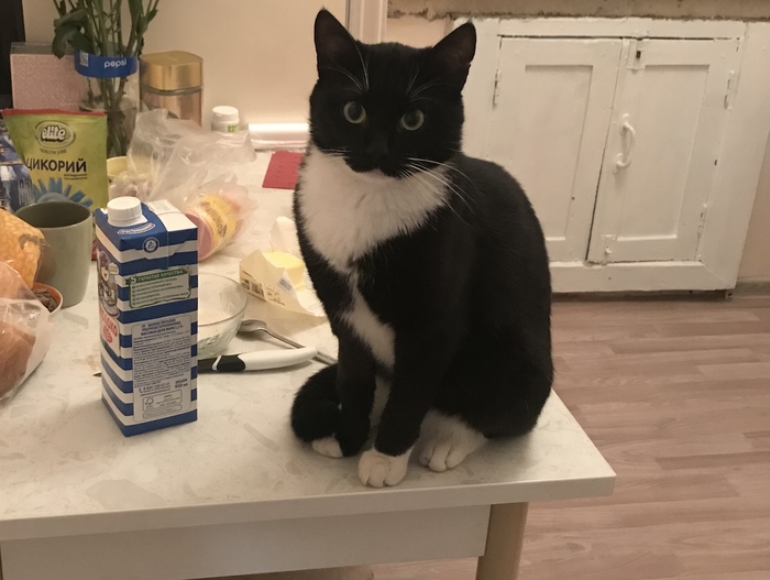 С поличным. Да я тут просто мимо проходил…